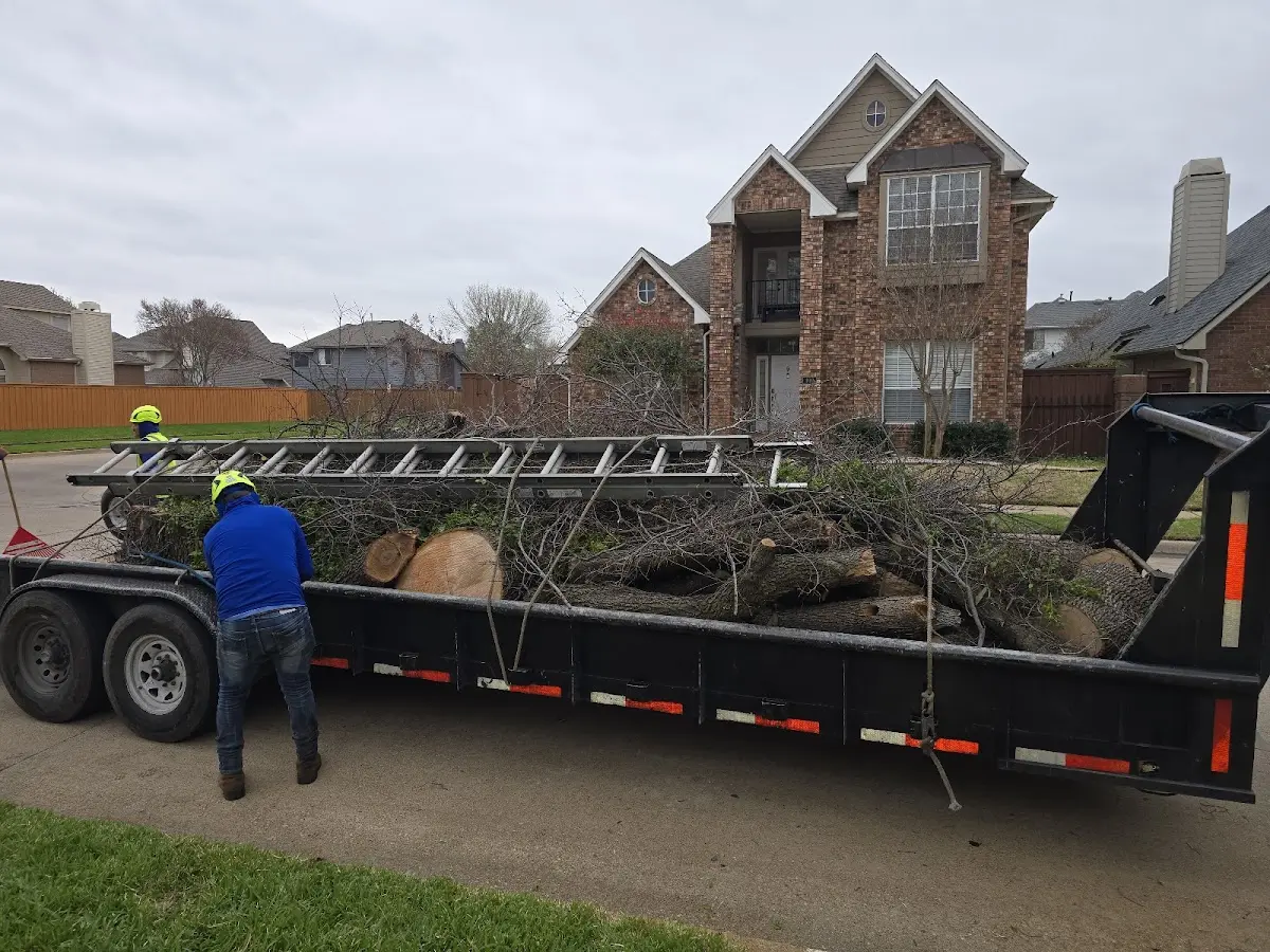 Expert Lot Clearing with proper safety equipment in Niagara Falls